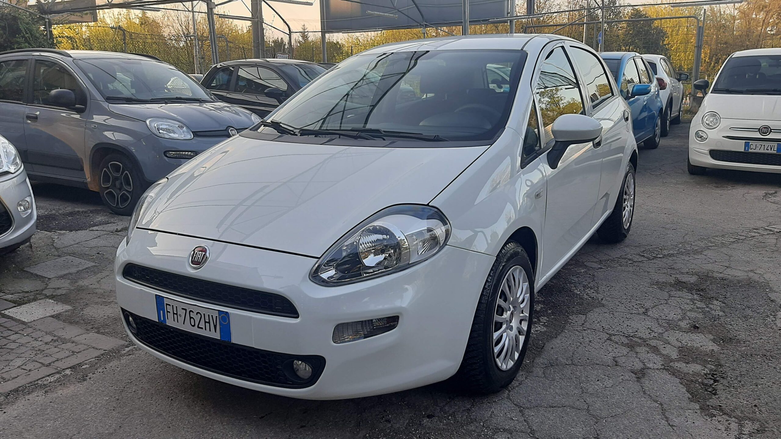 Fiat Punto